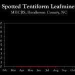 Chart showing insect population trends