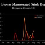 Chart showing insect population trends