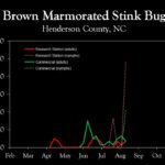 Chart showing insect population trends