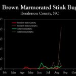 Chart showing insect population trends