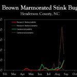 Chart showing insect population trends