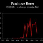 Chart showing insect population trends