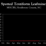 Chart showing insect population trends