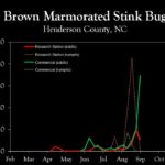 Chart showing insect population trends