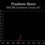 Chart showing insect population trends