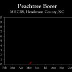 Chart showing insect population trends