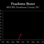 Chart showing insect population trends