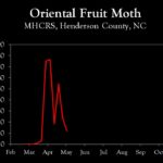 Chart showing insect population trends