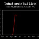 Chart showing insect population trends