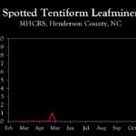 Chart showing insect population trends