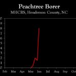 Chart showing insect population trends