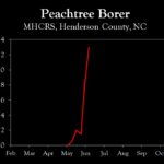 Chart showing insect population trends