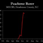 Chart showing insect population trends