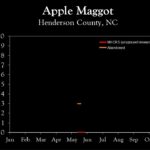 Chart showing insect population trends
