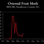 Chart showing insect population trends