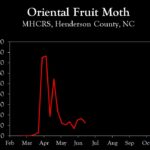 Chart showing insect population trends
