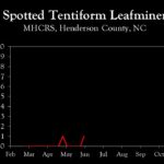 Chart showing insect population trends