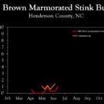 Chart showing insect population trends