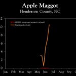 Chart showing insect population trends