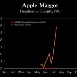 Chart showing insect population trends