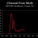 Chart showing insect population trends
