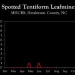 Chart showing insect population trends