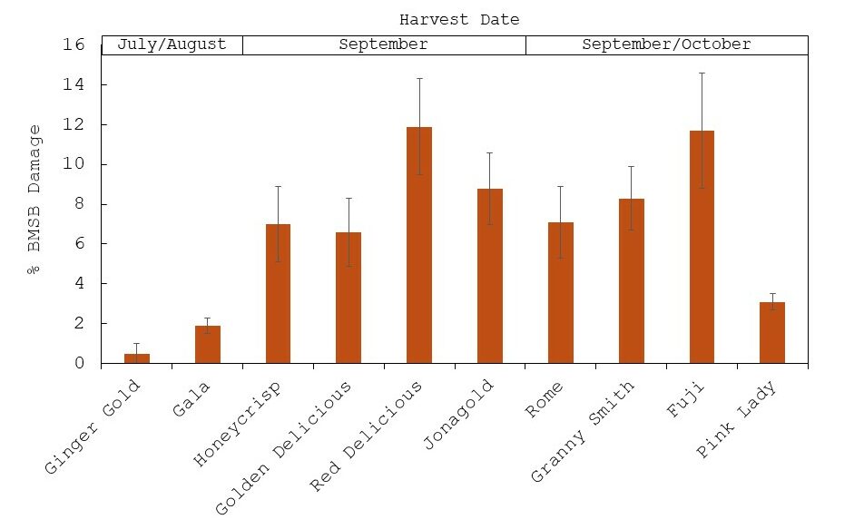 Chart showing the susceptibility of various apple varieties to brown marmorated stink bug