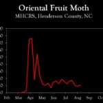 Chart showing insect population trends