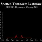 Chart showing insect population trends
