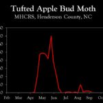 Chart showing insect population trends