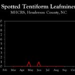 Chart showing insect population trends