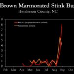 Chart showing insect population trends