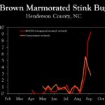 Chart showing insect population trends