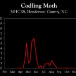 Chart showing insect population trends