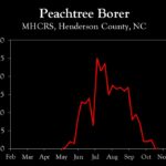Chart showing insect population trends