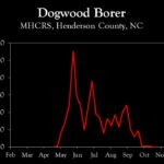 Chart showing insect population trends