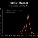 Chart showing insect population trends