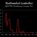 Chart showing insect population trends