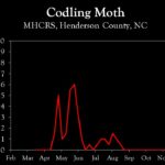 Chart showing insect population trends