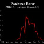 Chart showing insect population trends