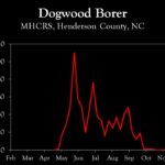 Chart showing insect population trends
