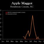 Chart showing insect population trends
