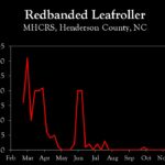 Chart showing insect population trends
