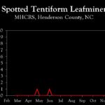 Chart showing insect population trends
